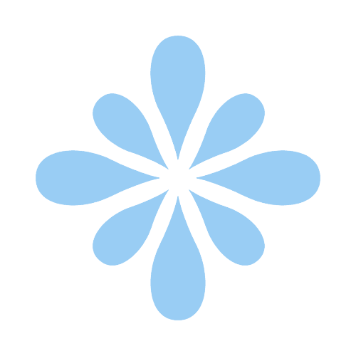 Bloomiro Logo